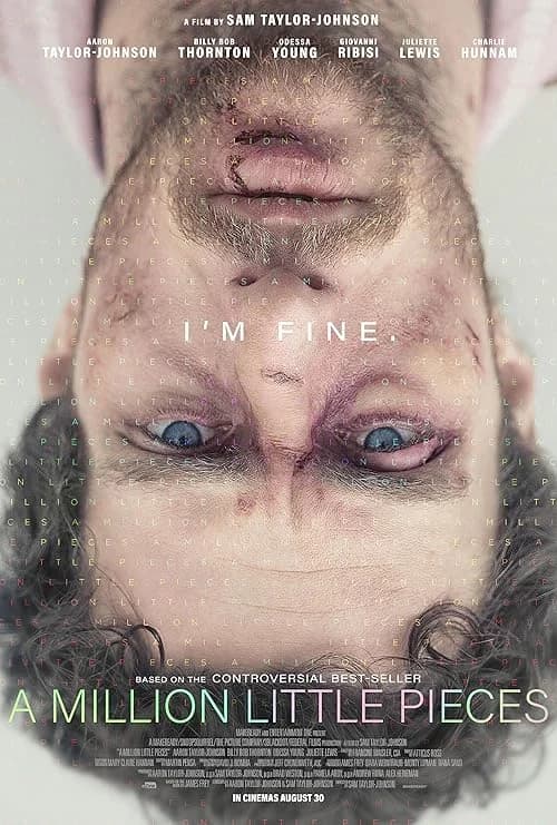 A Million Little Pieces film posteri