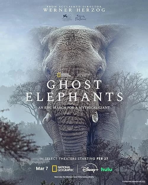 Ghost Elephants
